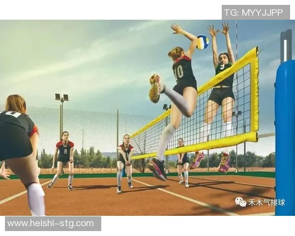 广州排球队的运营揭秘与深度分析探讨排球运动的未来发展方向